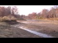 Bryan Park Upper Pond Drained!