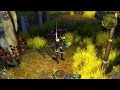 Sacred2-Fallen Angel_CE Special Ingame Item
