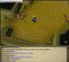 Runescape Cockroaches