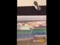 DIY Pond Filter - UK Version - Backflush & Bio Filter - Homemade
