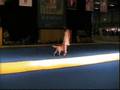 Freestyle with Oskar on World Dog Show 2008