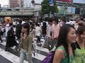 shibuya crossing live!