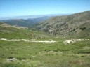 Desulo. Gregge lungo il cammino di Punta Lamarmora