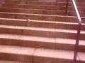 videos de cola stunt