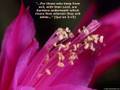Bilal Assad: Imaan (Part 1)