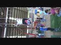 Doubles Trapeze Doubles Trapeze