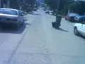 guarro-videos: la abalancha
