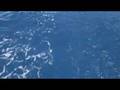 200807 Vacances en veler 1