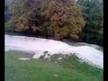 videos de chris at ringwood