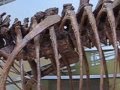 UC Berkeley T-Rex, Detail
