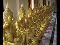 videos de Reflection on Unversal Well-Being (Pali/English)