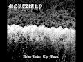 Mortuary - Arise Under The Moon