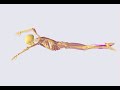 anybody Example: Sports - Swimming: Crawl (Free Style)