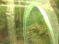 tropical fishtank