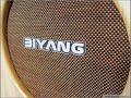 drive from Biyang Tube Amp Model 2203