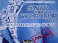 Sirr Woo - Wanna Fight Sirr Woo - Wanna Fight