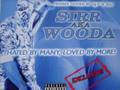 Sirr Woo - Wanna Fight