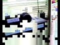 Thumbnail #3
