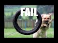 Fail Movie