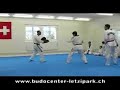 Taekwondo & Hapkido Vereinigung Z�rich (THVZ)