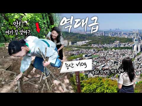 서울에 이런 곳이? 20분 컷인 줄 알았다가 1시간 털림 (서초구 뷰맛집 | 국수봉 ⛰️)