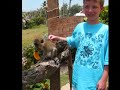 Carnival Victory Southern Caribbean Cruise--Our Day in Barbados with Scenic Barbados Tours