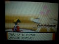 草タイプ使いｖｓエリカ
