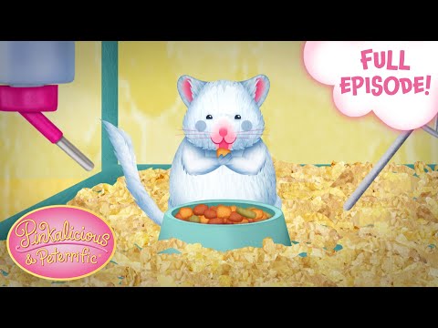 Missing Squeakykins | Pinkalicious & Peterrific Full Episode!