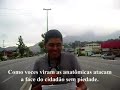 Jornal Anatômico (Ipanema Anatômica) Jornal Anatômico (Ipanema Anatômica)