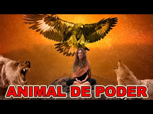 Resultado de imagem para PRÁTICA DE MEDITAÇÃO PARA DESCOBRIR E ENTRAR EM CONTATO COM O ANIMAL DE PODER