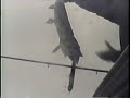 Muskies & The Underwater Bucket Cam Muskies & The Underwater Bucket Cam