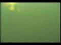 Muskies & The Underwater Bucket Cam