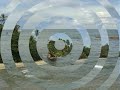 turtle.html