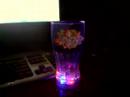 Party Cup 2