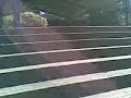Skate 4