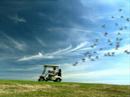 Attracts birdies