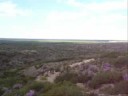 Big Ranch