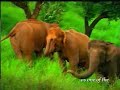 Kerala - Gods own Country Kerala - Gods own Country