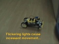 LEGO Posthumanism 5/8 LEGO Posthumanism 5/8