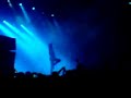 the pigeon detectives