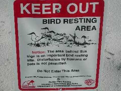 Burnie Thompson Talk 101.1 "Plover"