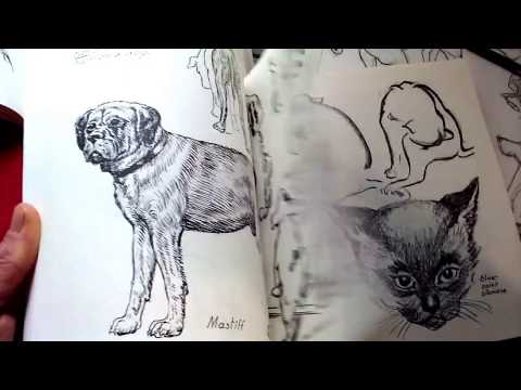 video-linktoworks-best books for learning to draw animals 🐈