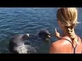 Tamsin Outhwaite teaches dolphin tricks with these smart marine animals - BBC wildlife
