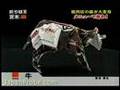 Origami C...