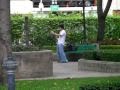 Kung Fu in Benjasiri Park