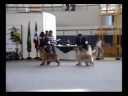 videos de Raza Filipini - KCP Julio 2,008