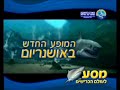 פארק המצפה התת ימי אילת ::: www.coralworld.com/eilat/