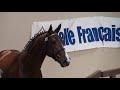 Saphir de Lezeaux