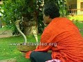 Snake Charmer  Shamsuddin of Cherpulasseri, Kerala,India
