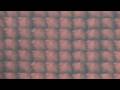 Make Out – Shadow Box 8, Rafael Lozano